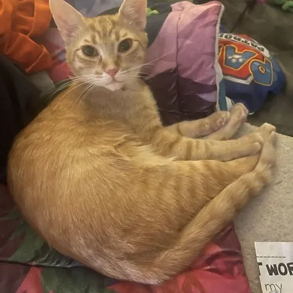 Help me reach 700k I’m at 620k - Picture 5 of 7